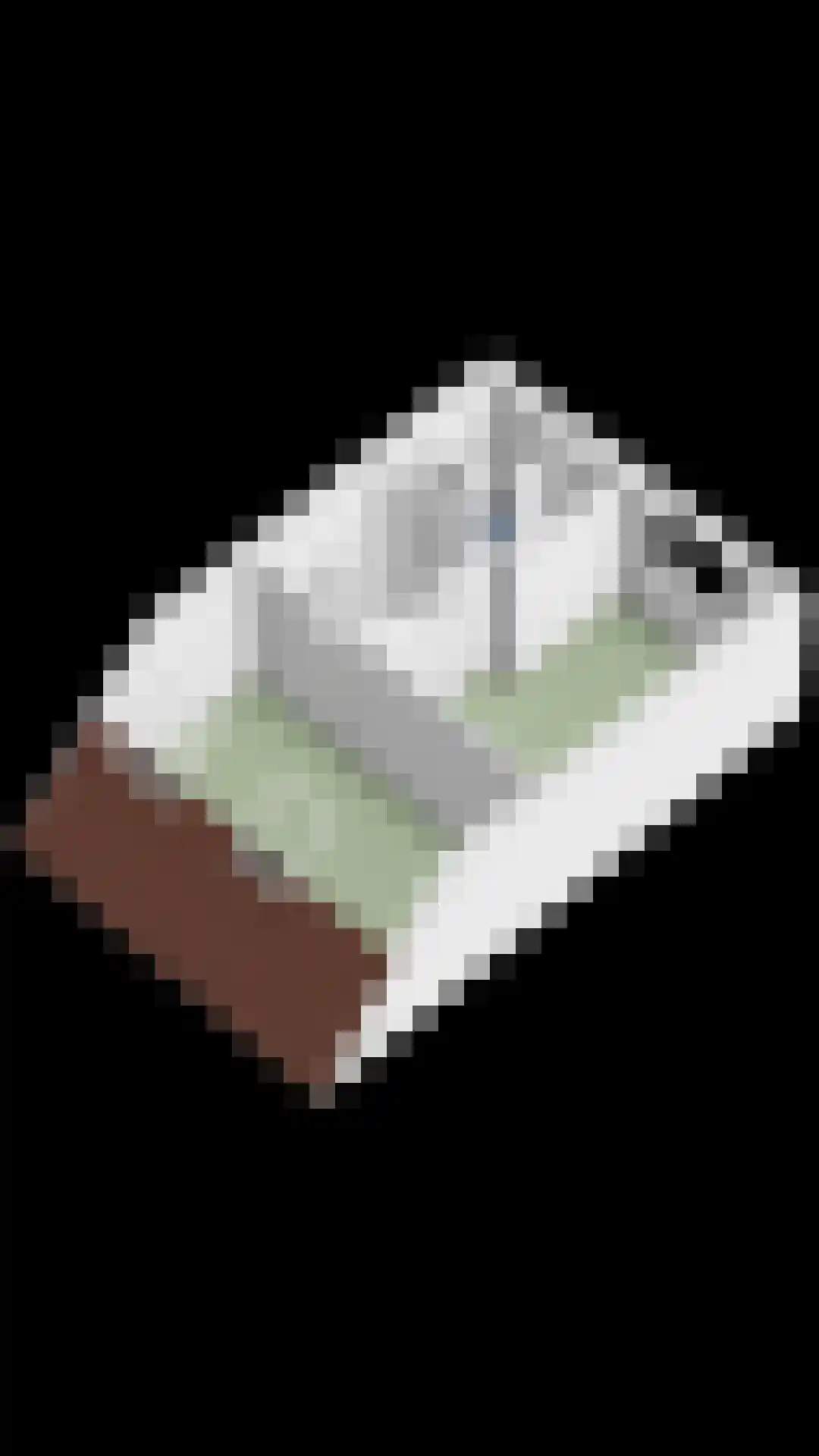 Singellaan 57 Heiligerlee thumbnail 53