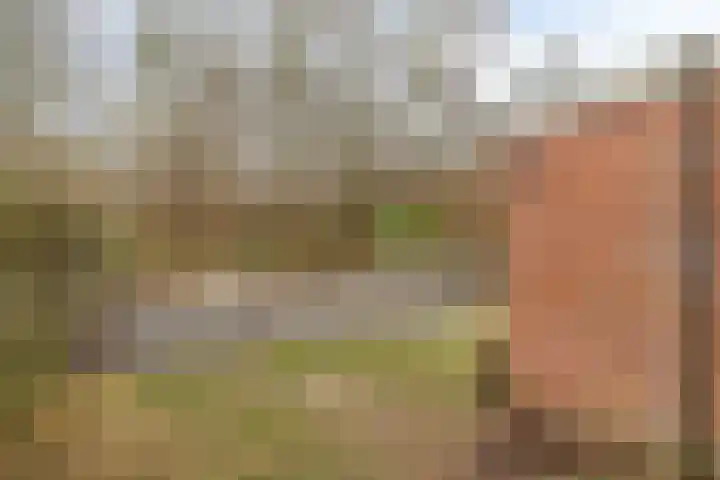 Singellaan 57 Heiligerlee thumbnail 8
