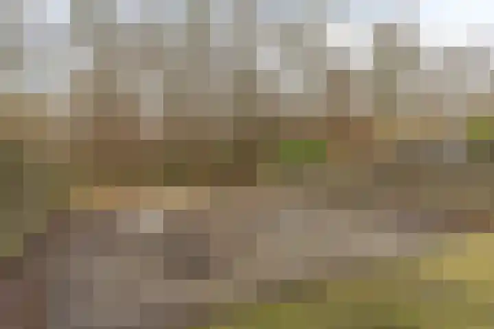 Singellaan 57 Heiligerlee thumbnail 9