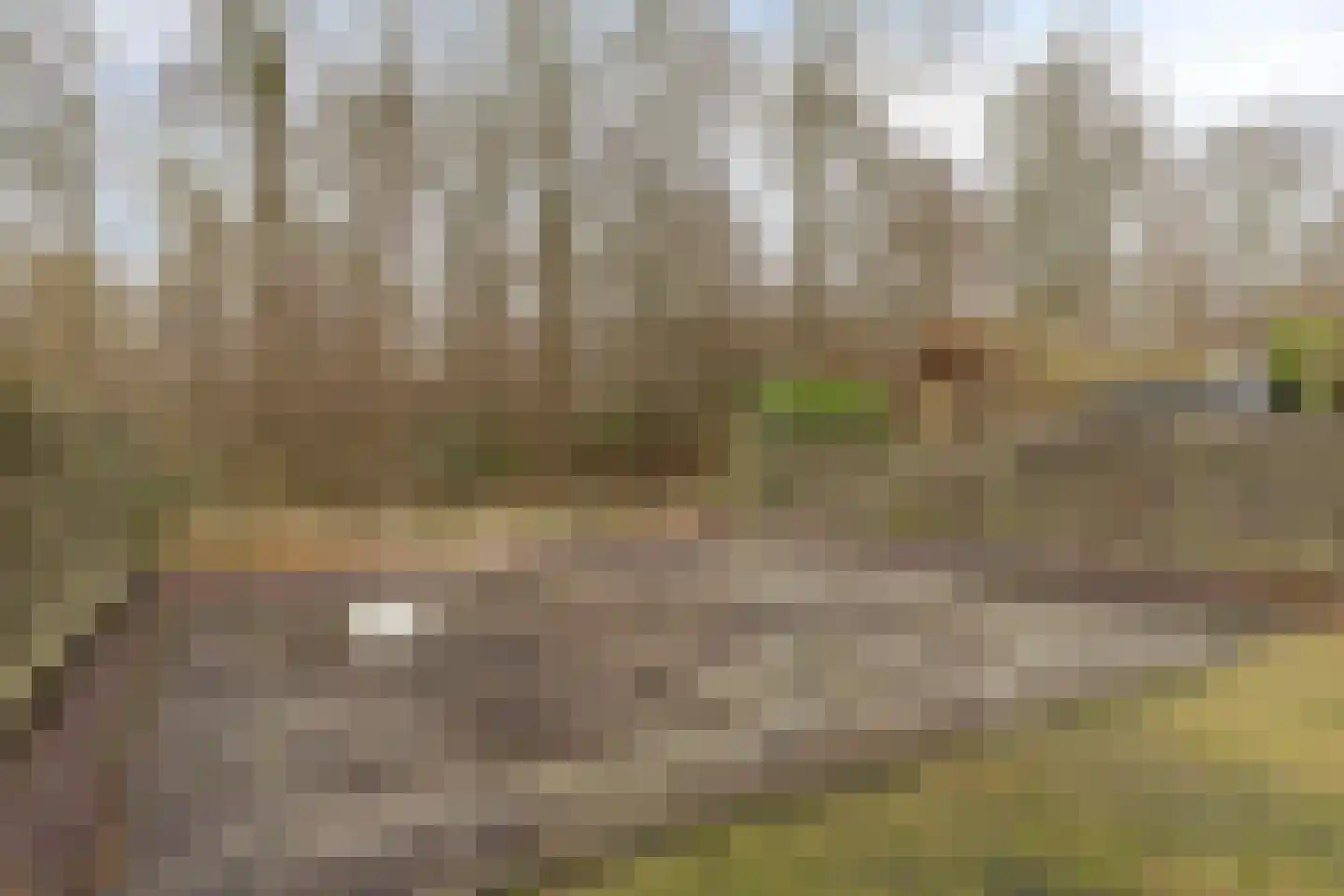 Singellaan 57 Heiligerlee thumbnail 9