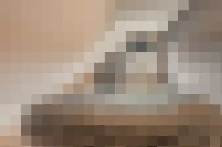 Singellaan 75 Heiligerlee thumbnail 35