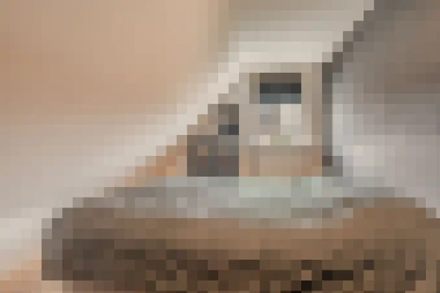 Singellaan 75 Heiligerlee thumbnail 35