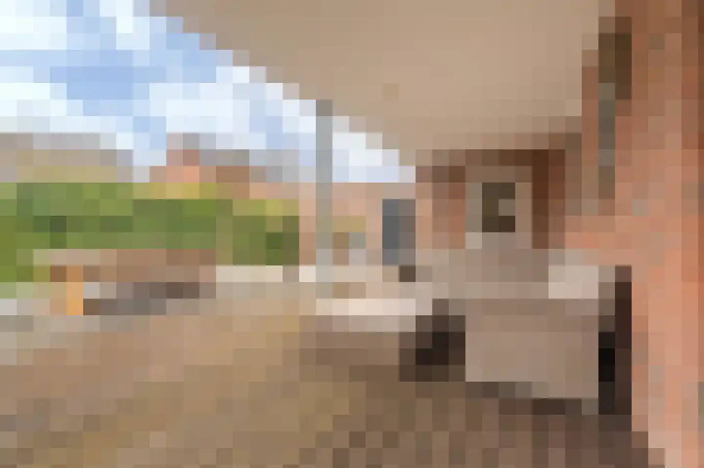 Singellaan 75 Heiligerlee thumbnail 43