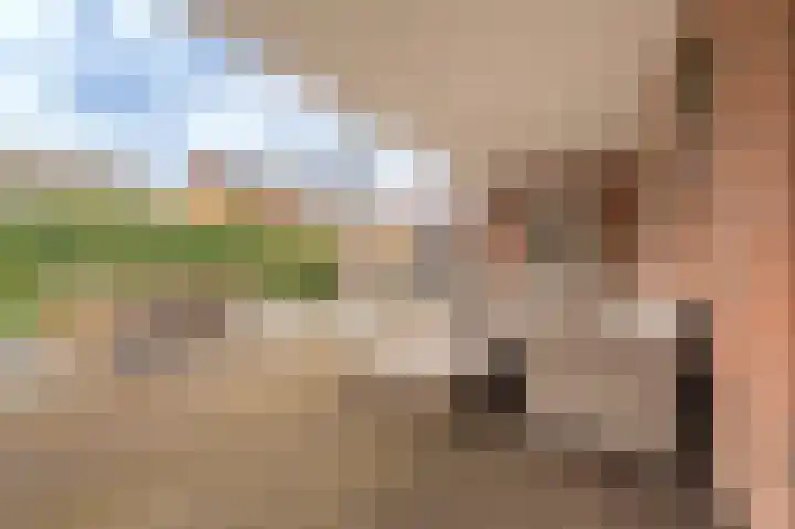 Singellaan 75 Heiligerlee thumbnail 43
