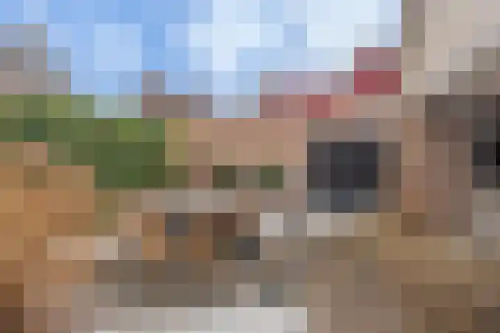 Singellaan 75 Heiligerlee thumbnail 45
