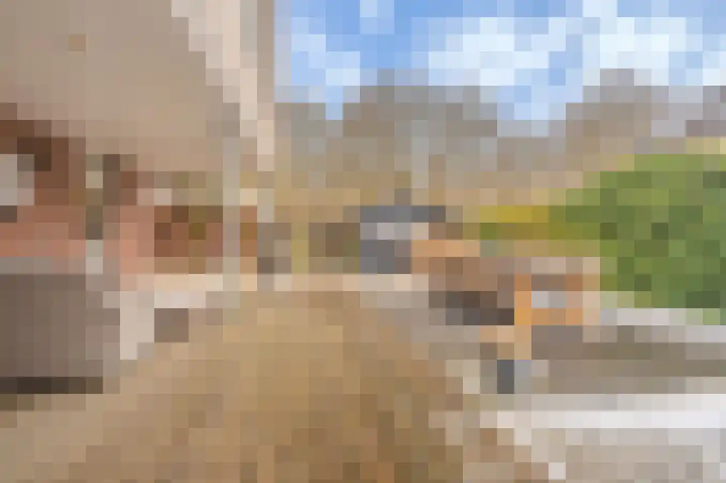 Singellaan 75 Heiligerlee thumbnail 46