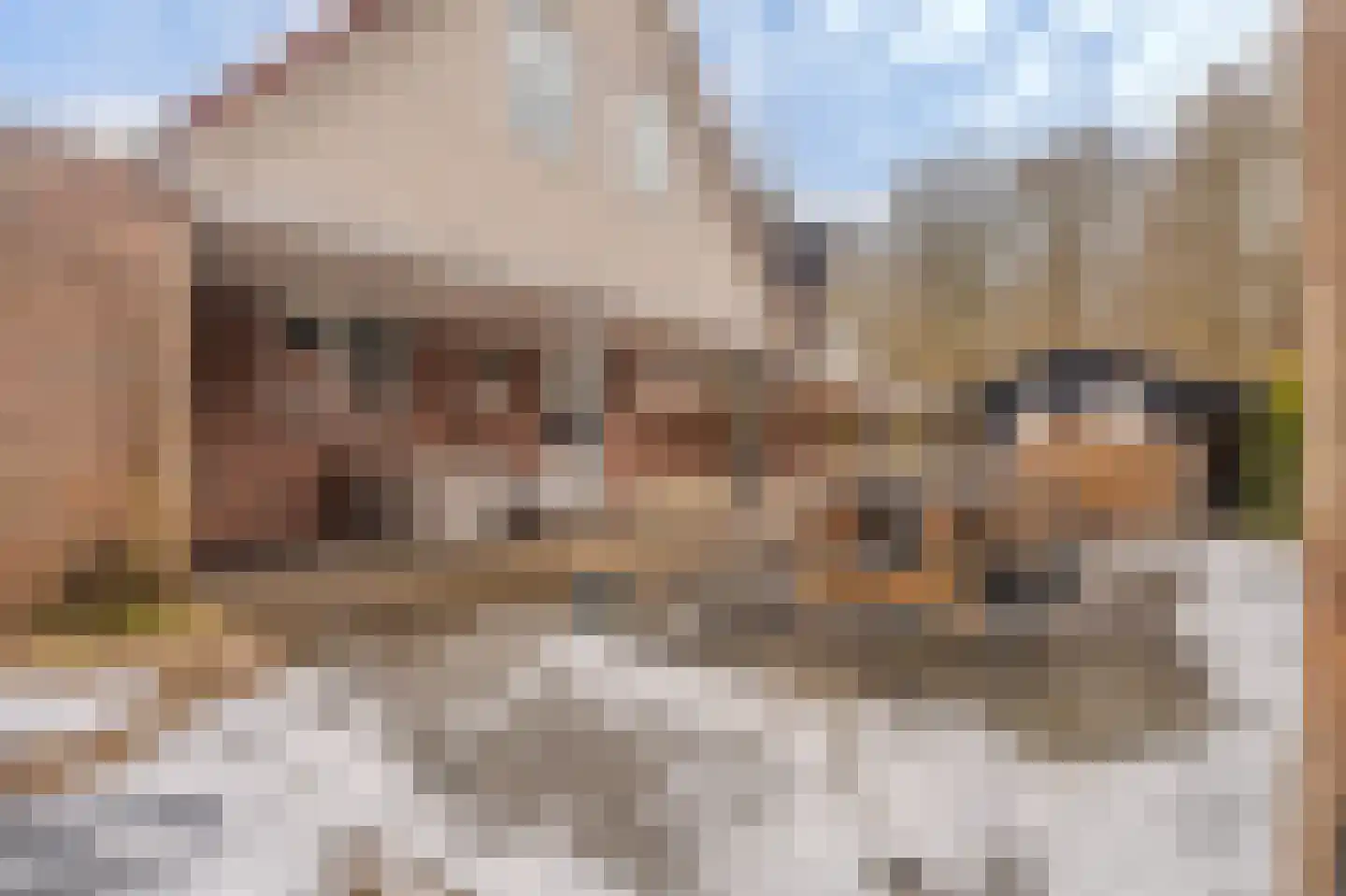 Singellaan 75 Heiligerlee thumbnail 47