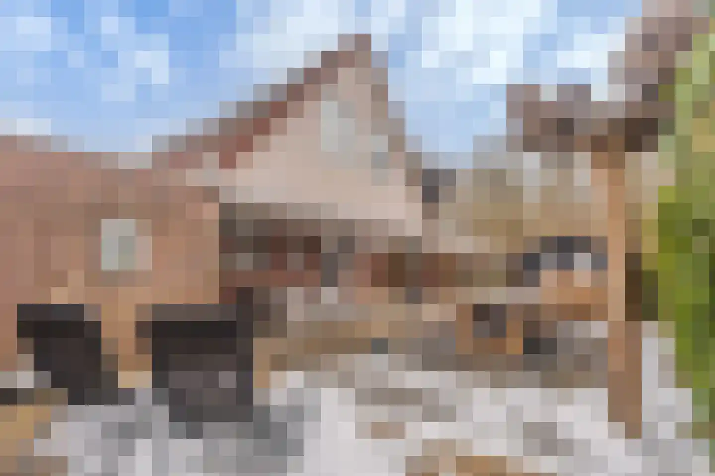 Singellaan 75 Heiligerlee thumbnail 48