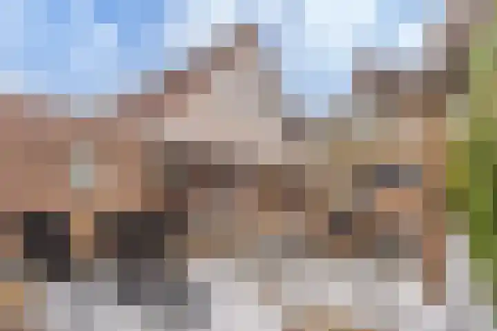 Singellaan 75 Heiligerlee thumbnail 48