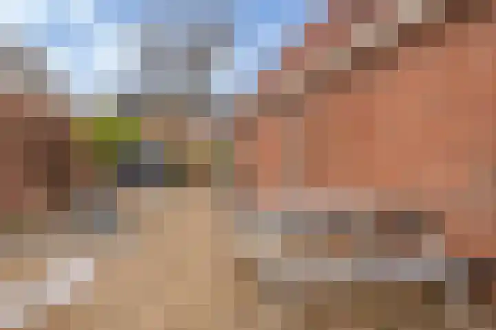 Singellaan 75 Heiligerlee thumbnail 51