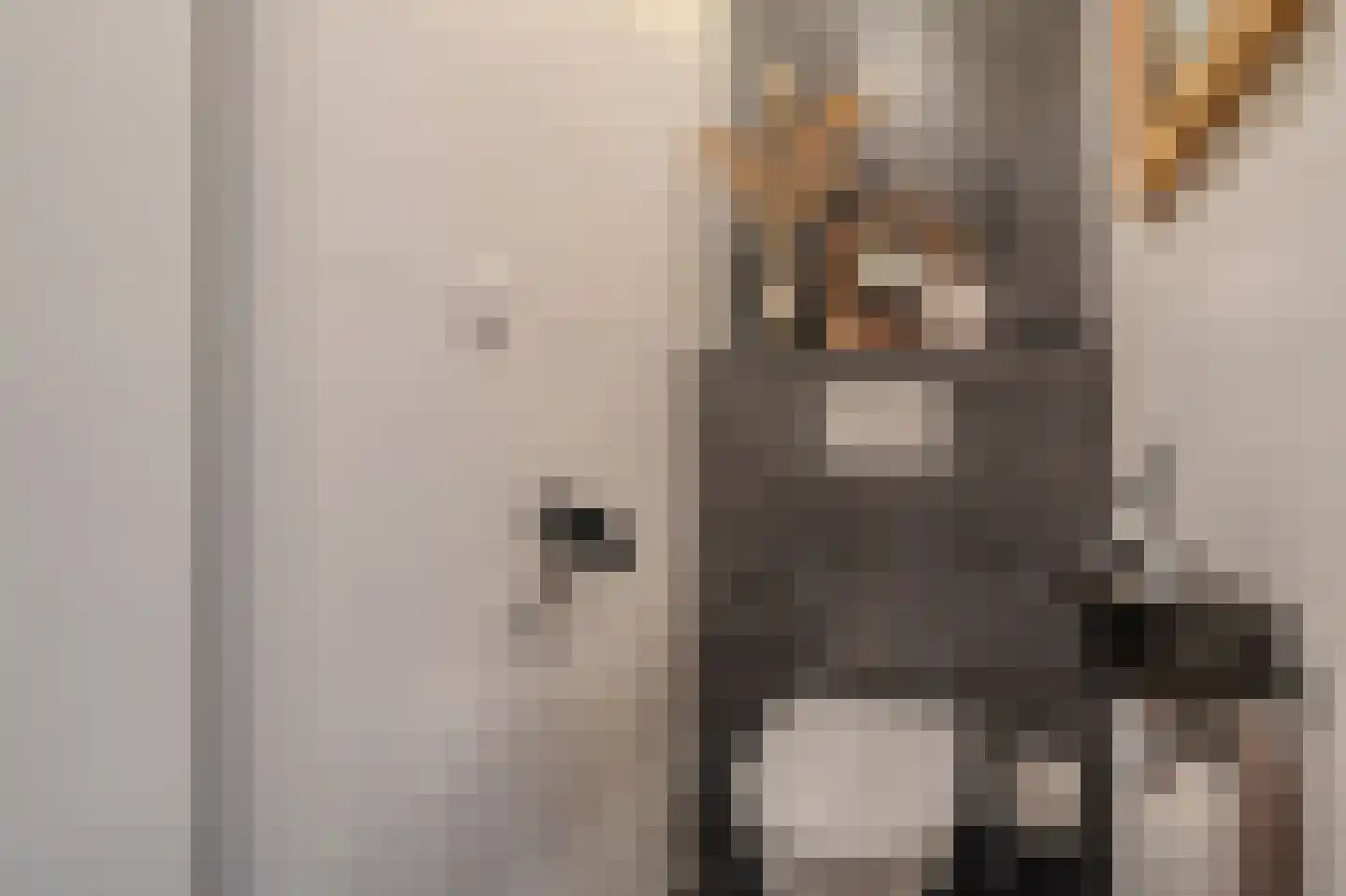 Singellaan 75 Heiligerlee thumbnail 9