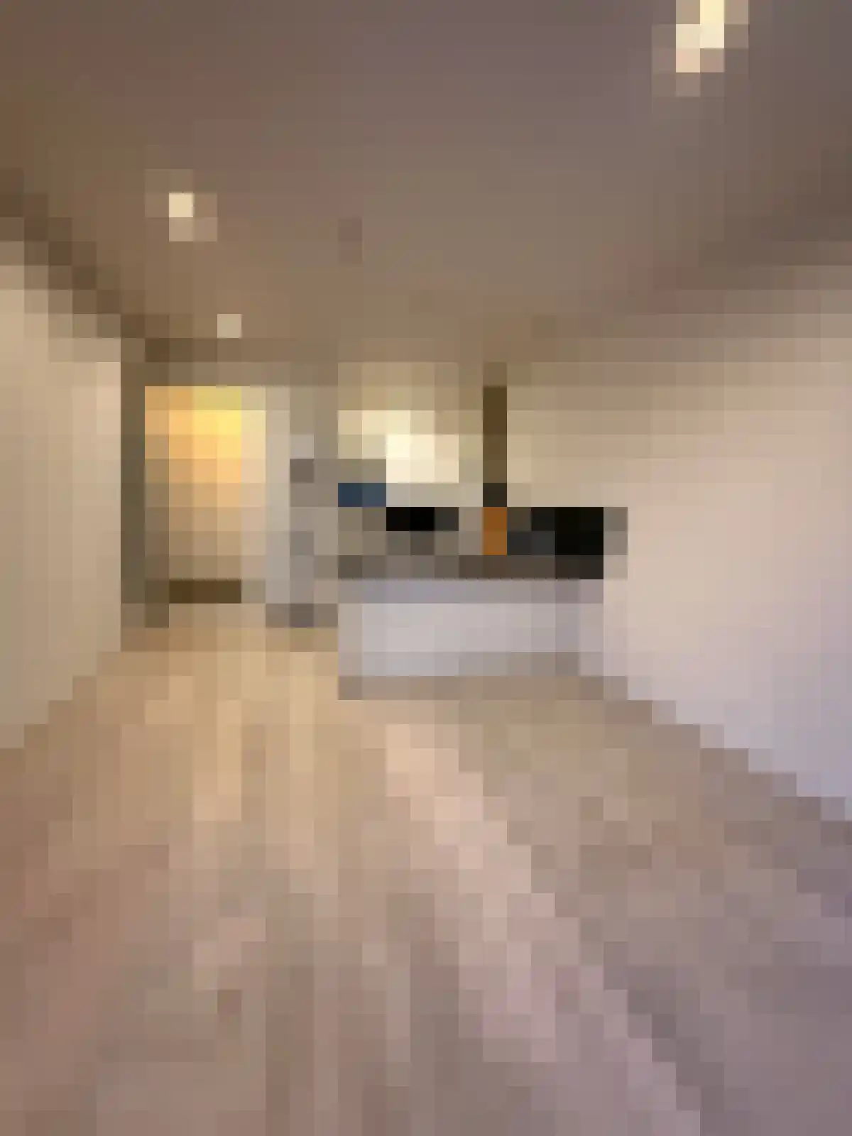 Singelpassage 1 Assen thumbnail 6