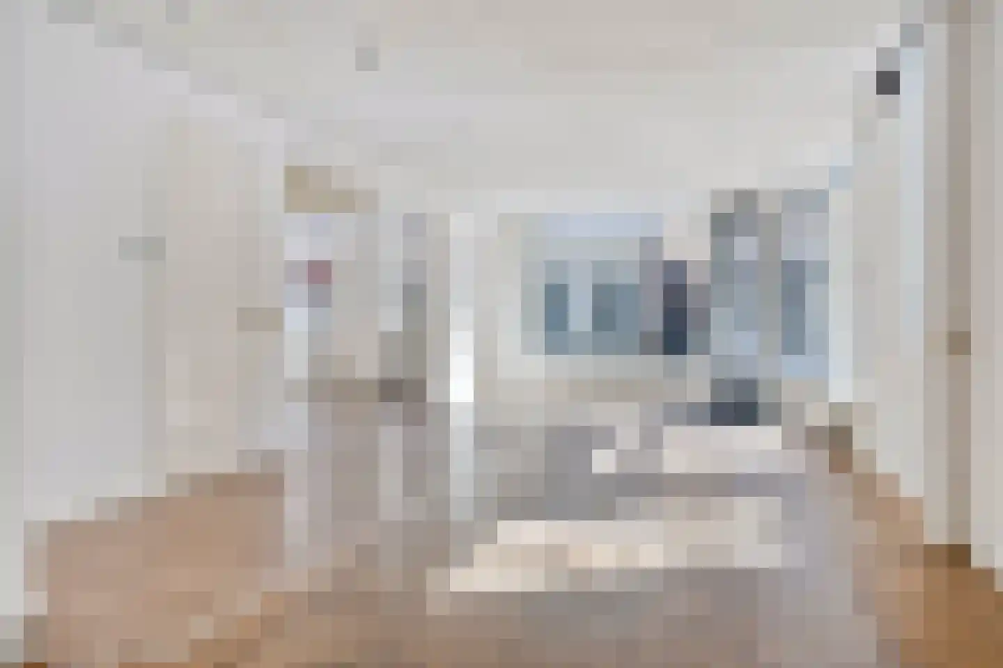 Singelpassage 3 Assen thumbnail 19