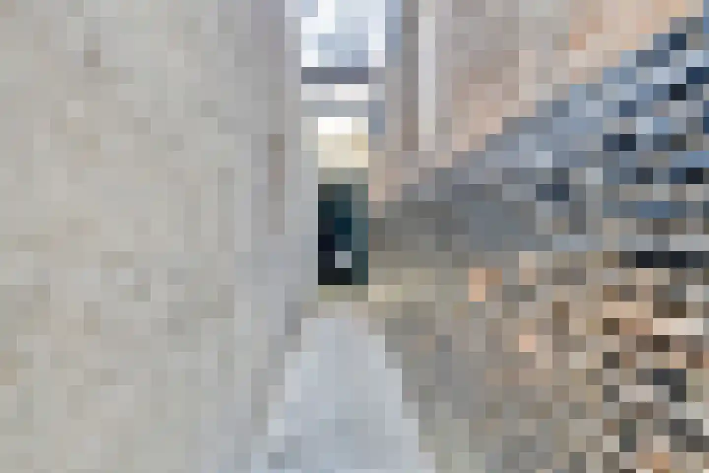 Singelpassage 3 Assen thumbnail 33