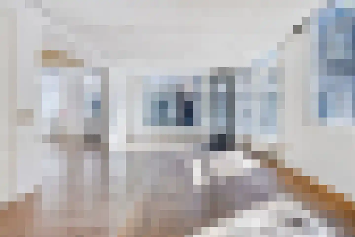 Singelpassage 3 Assen thumbnail 6