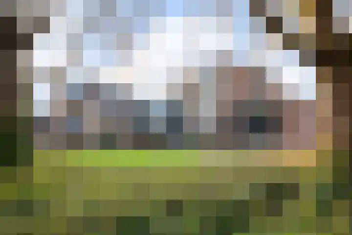 Singelplein 18 Woerden thumbnail 24