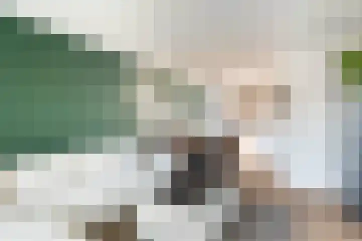Singelplein 18 Woerden thumbnail 8