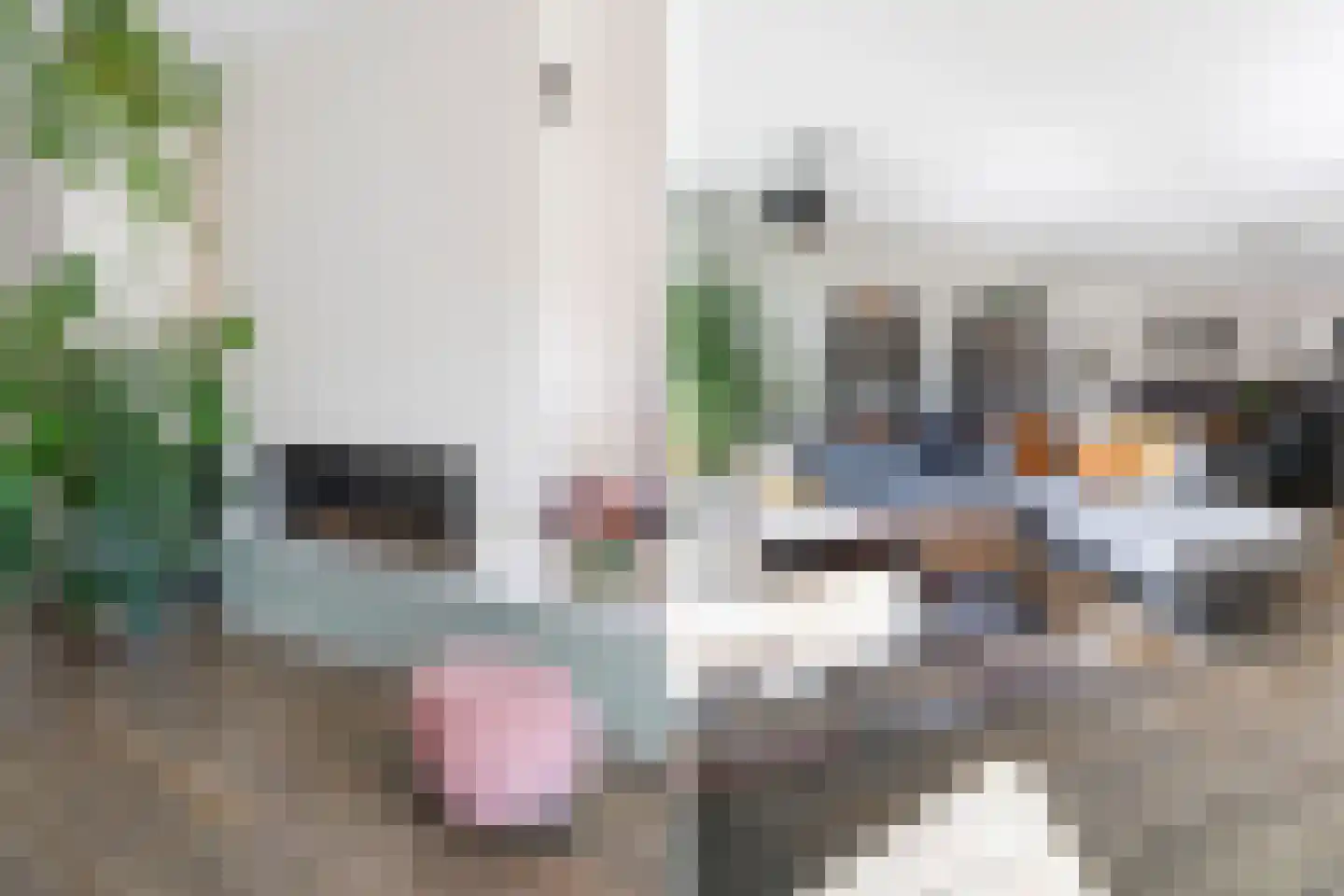 Singelplein 54 Woerden thumbnail 13