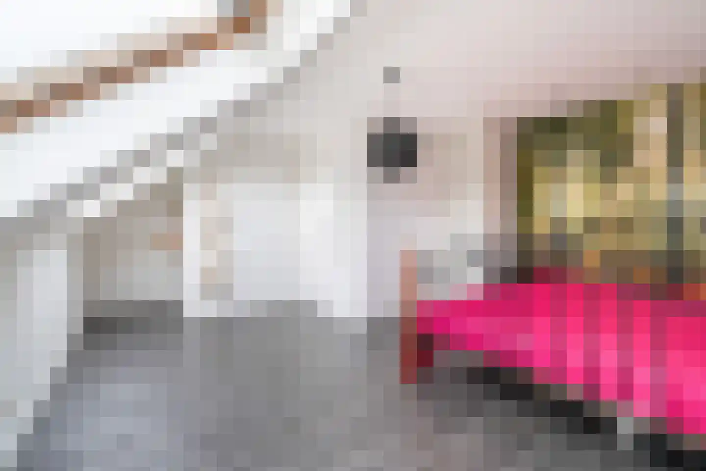 Singelplein 54 Woerden thumbnail 41