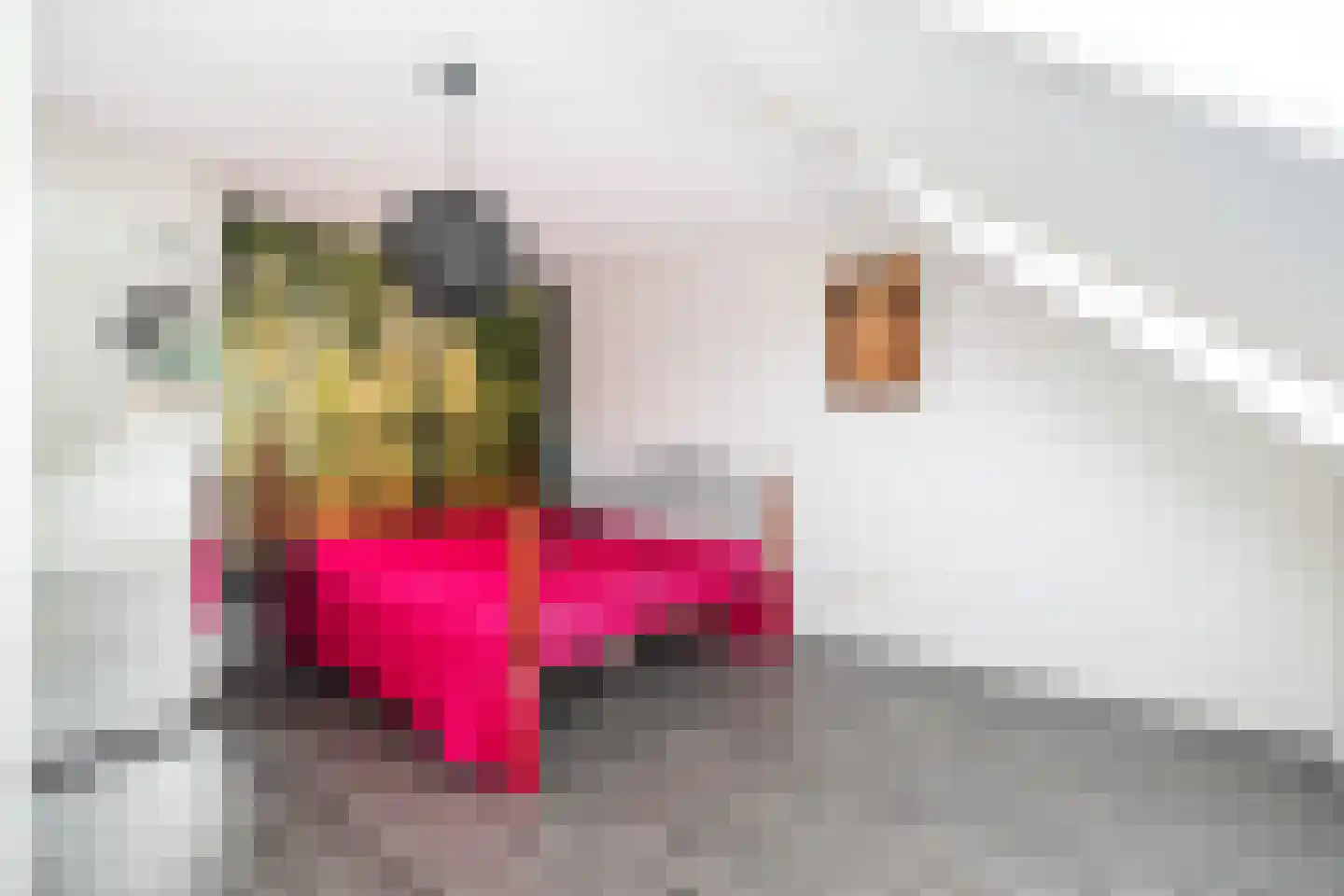 Singelplein 54 Woerden thumbnail 42