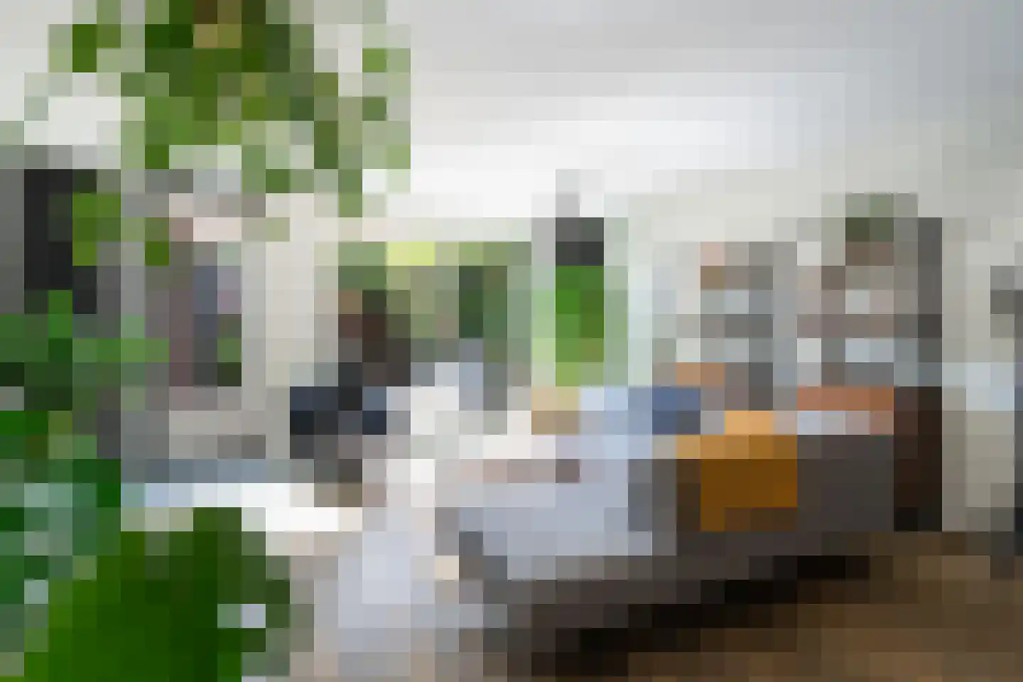 Singelplein 54 Woerden thumbnail 8