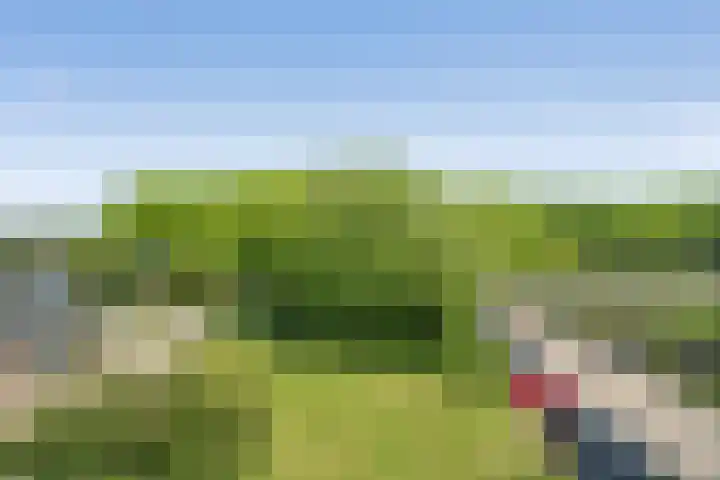 Singelplein 6 Woerden thumbnail 29