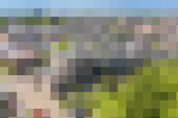 Singelplein 6 Woerden thumbnail 30