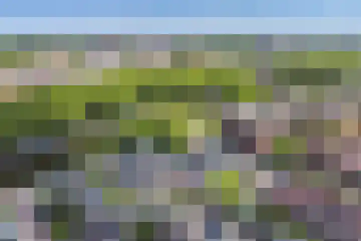 Singelplein 6 Woerden thumbnail 31
