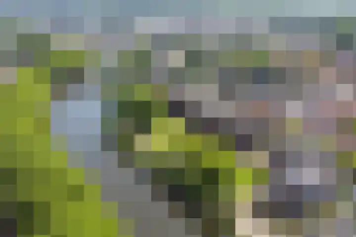 Singelplein 6 Woerden thumbnail 32