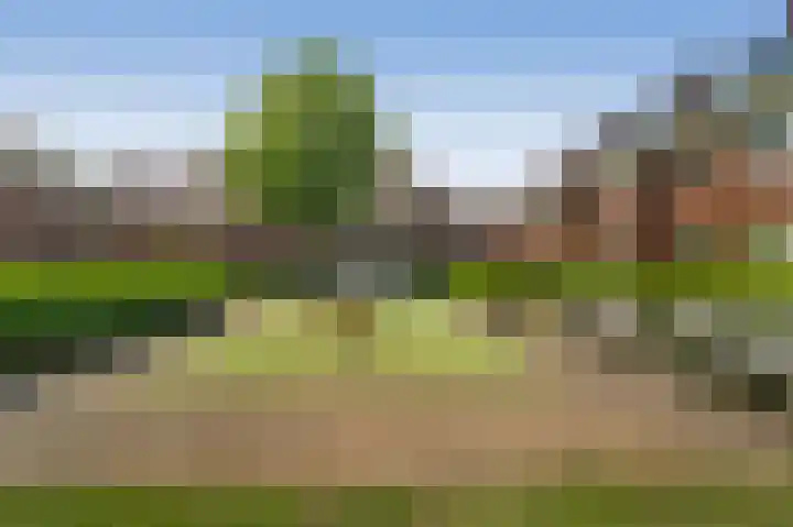 Singelplein 6 Woerden thumbnail 34