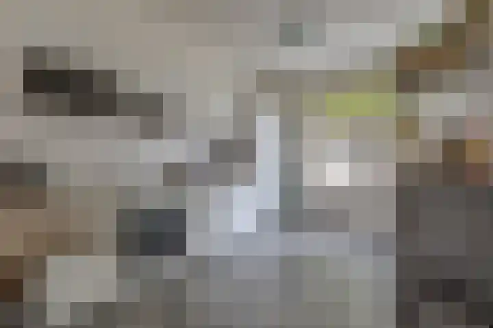 Singelstraat 11 Arnhem thumbnail 12