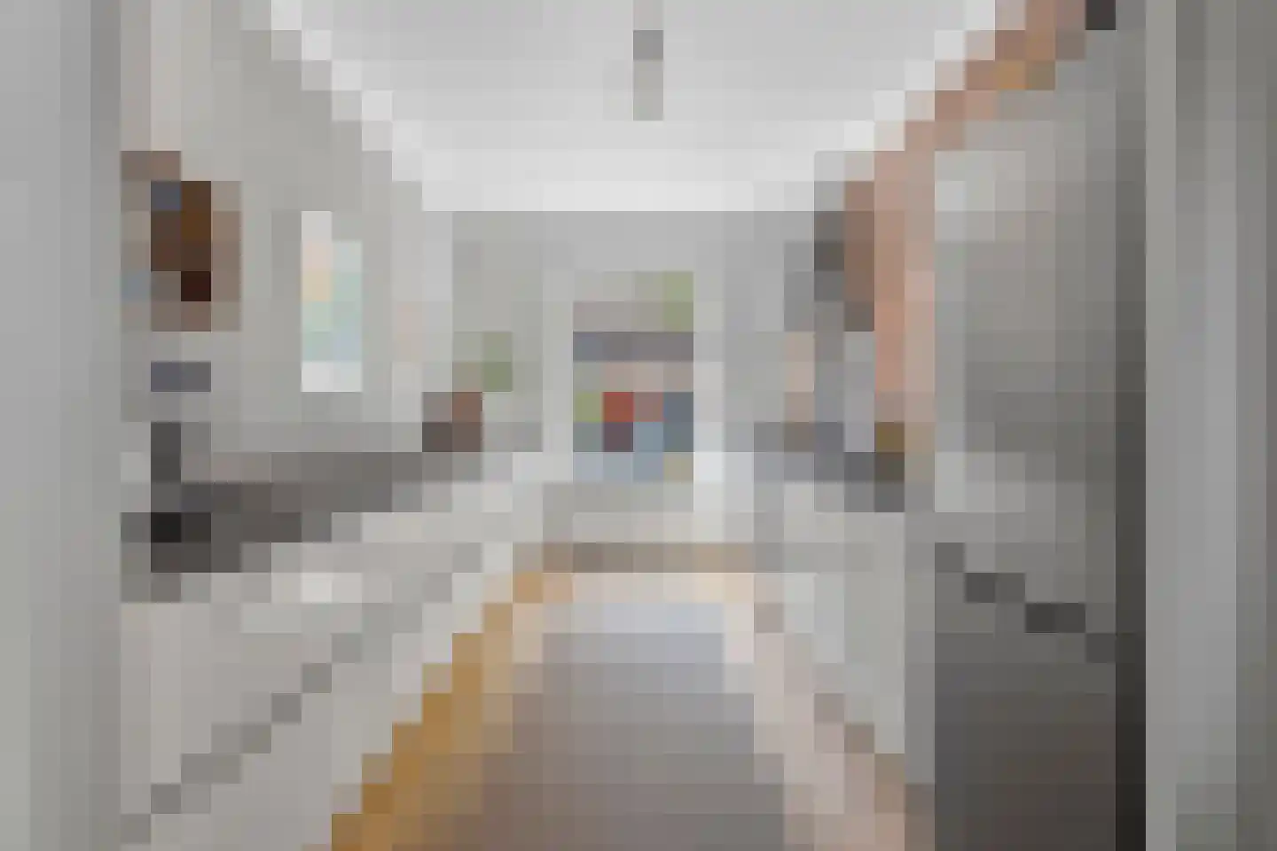 Singelstraat 15 Arnhem thumbnail 10