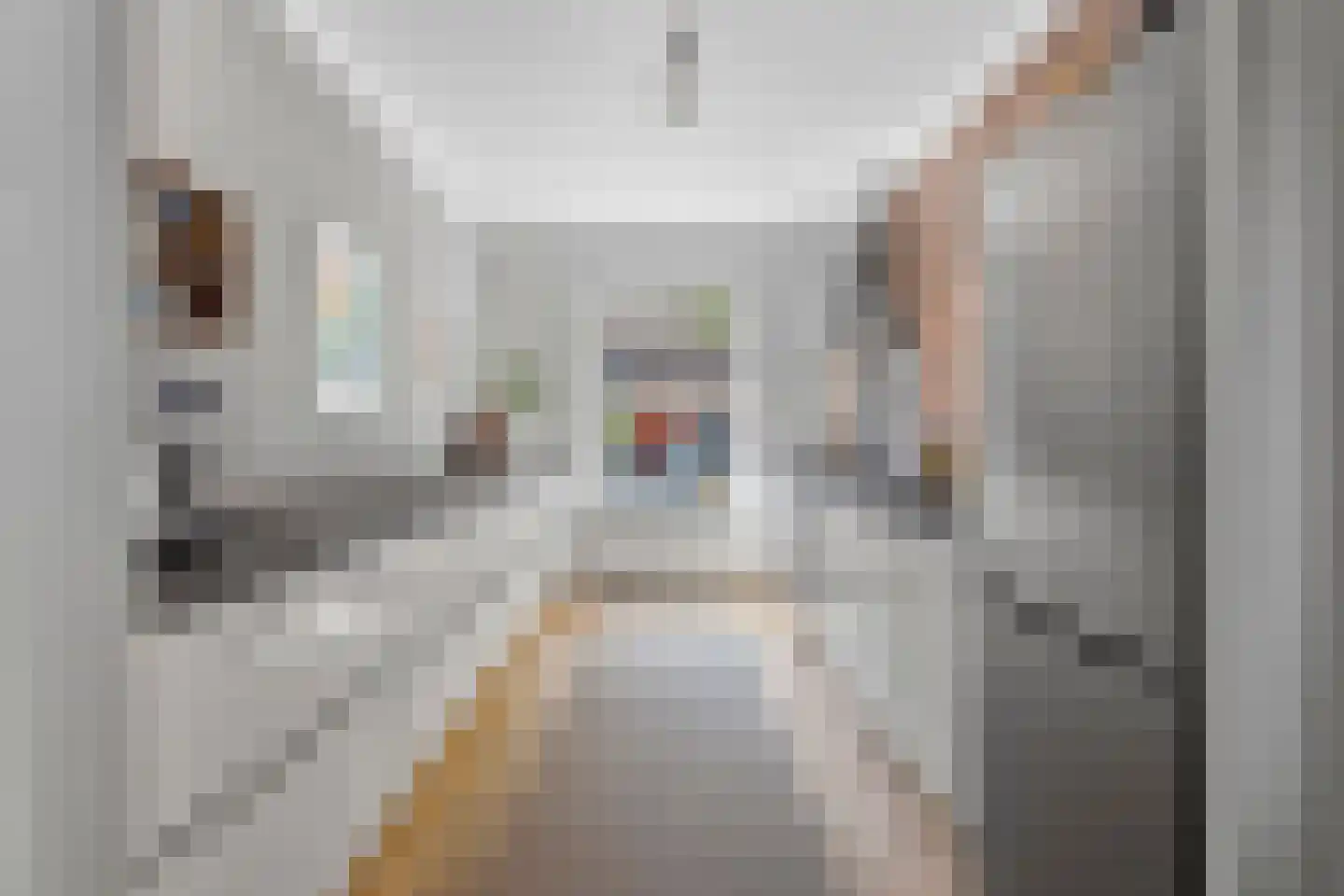 Singelstraat 15 Arnhem thumbnail 11