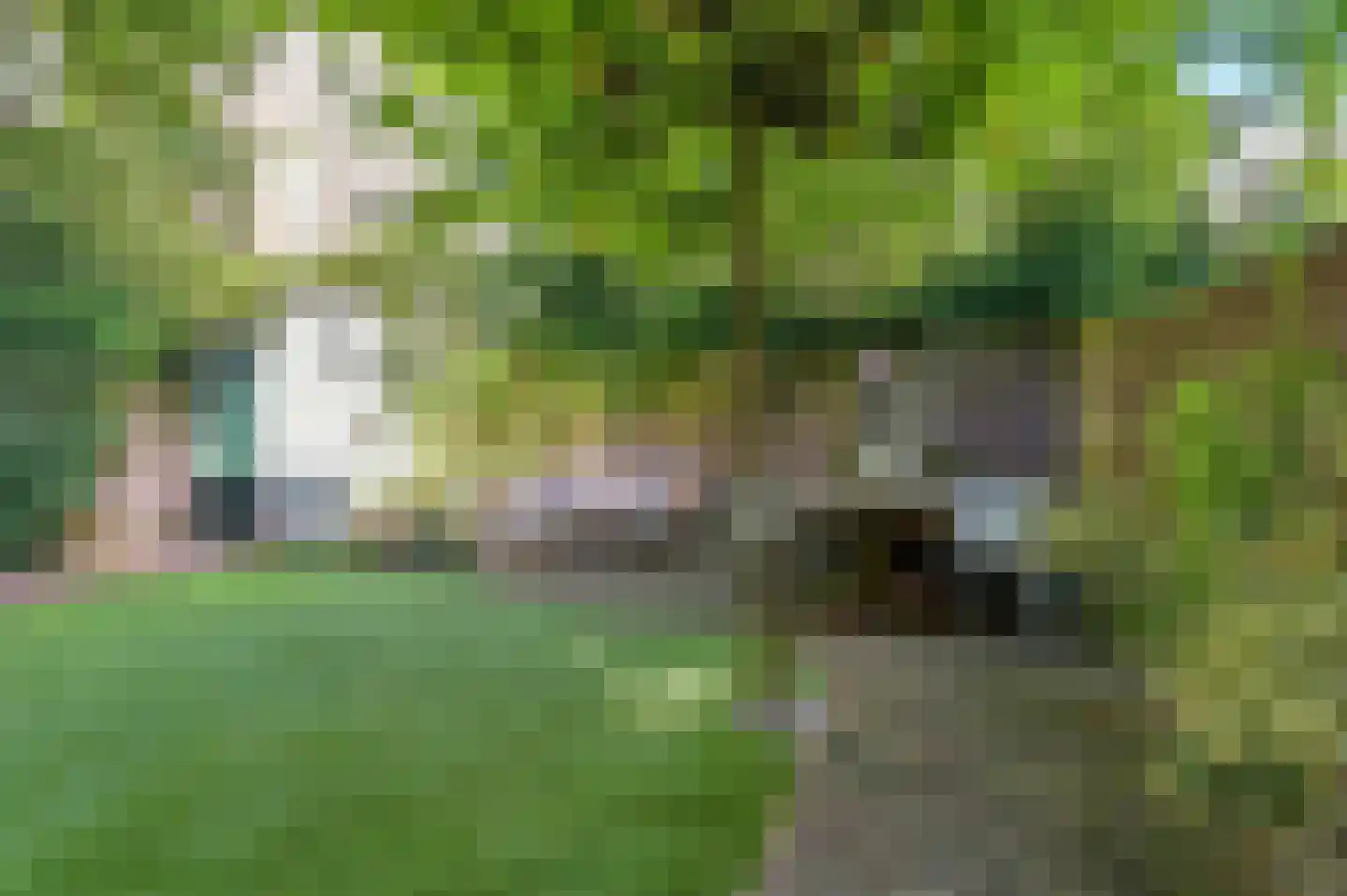 Singelstraat 15 Arnhem thumbnail 37