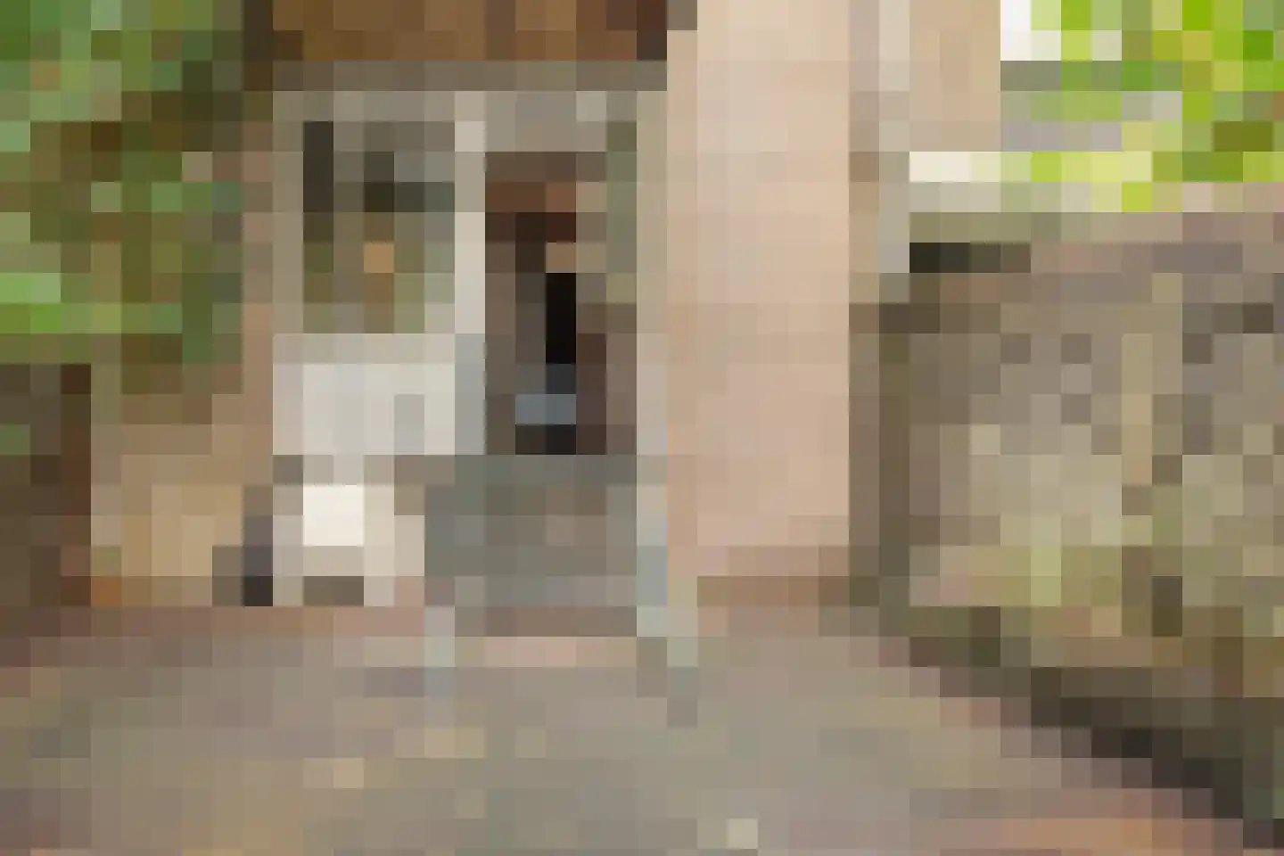 Singelstraat 17 Arnhem thumbnail 14