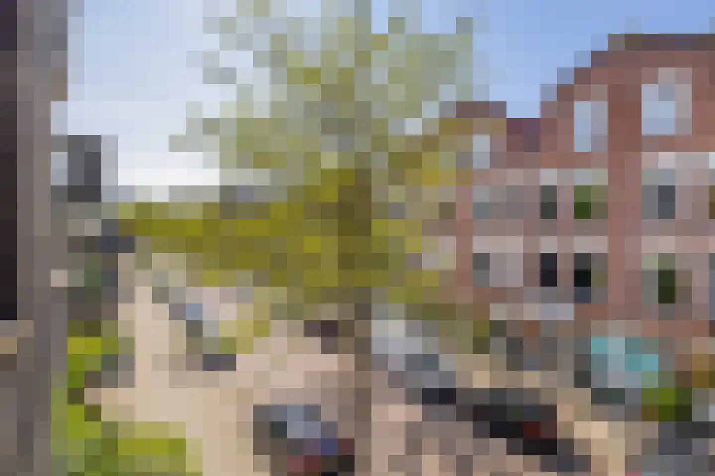 Singelstraat 18 Rotterdam thumbnail 23