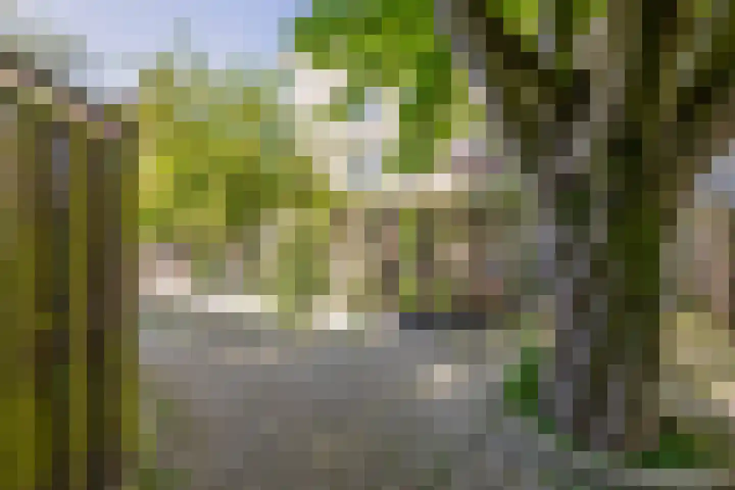 Singelstraat 18 Rotterdam thumbnail 31