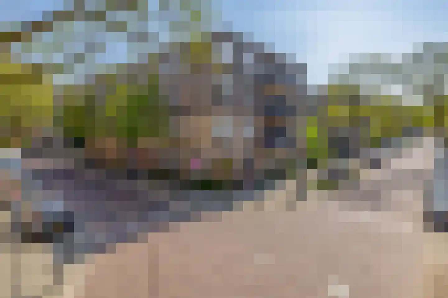 Singelstraat 18 Rotterdam thumbnail 5