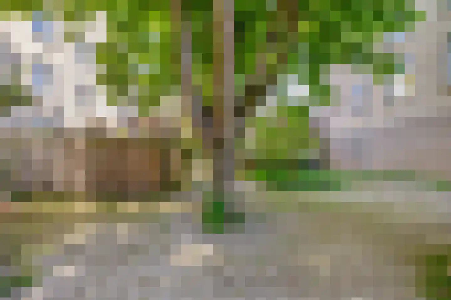 Singelstraat 18 Rotterdam thumbnail 6