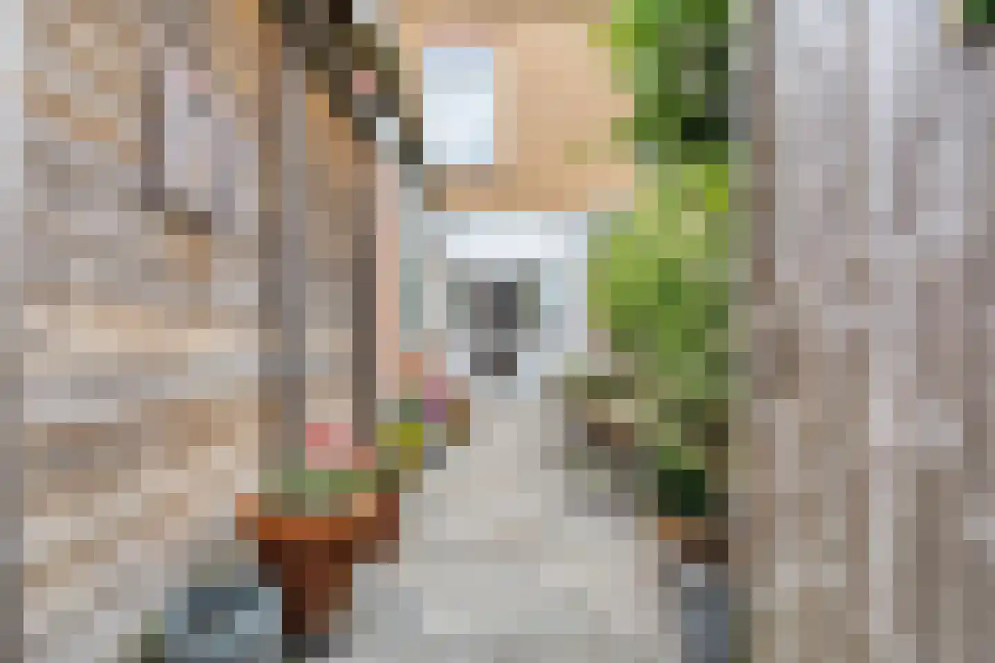 Singelstraat 31 Delft thumbnail 16
