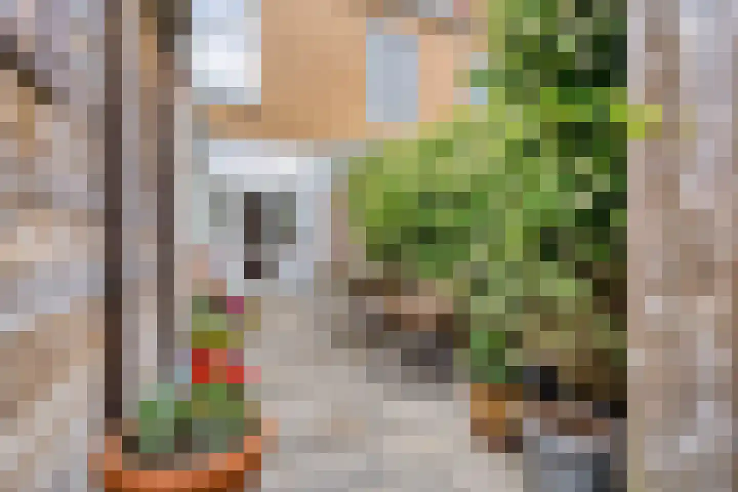 Singelstraat 31 Delft thumbnail 4