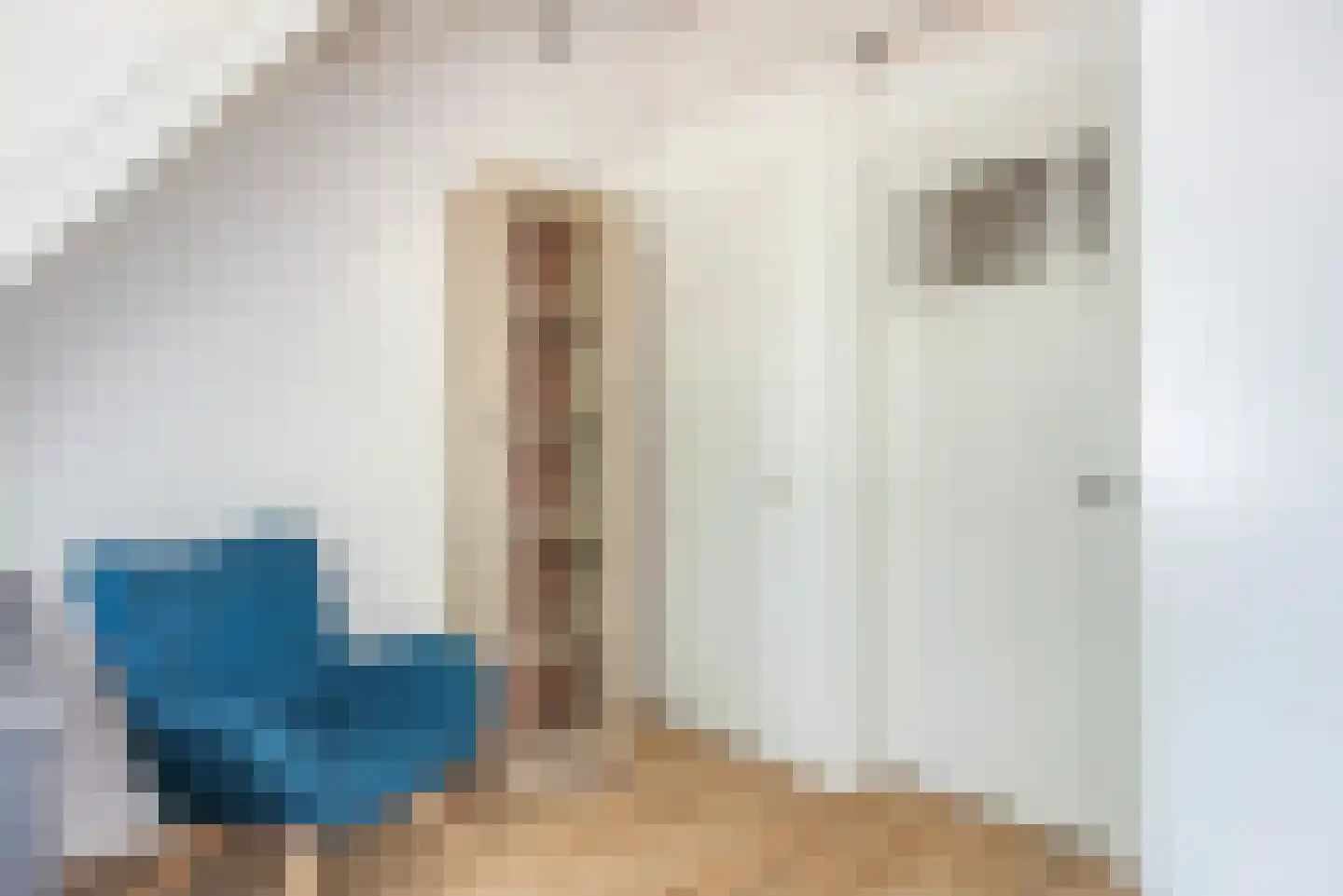 Singelstraat 32 Utrecht thumbnail 29