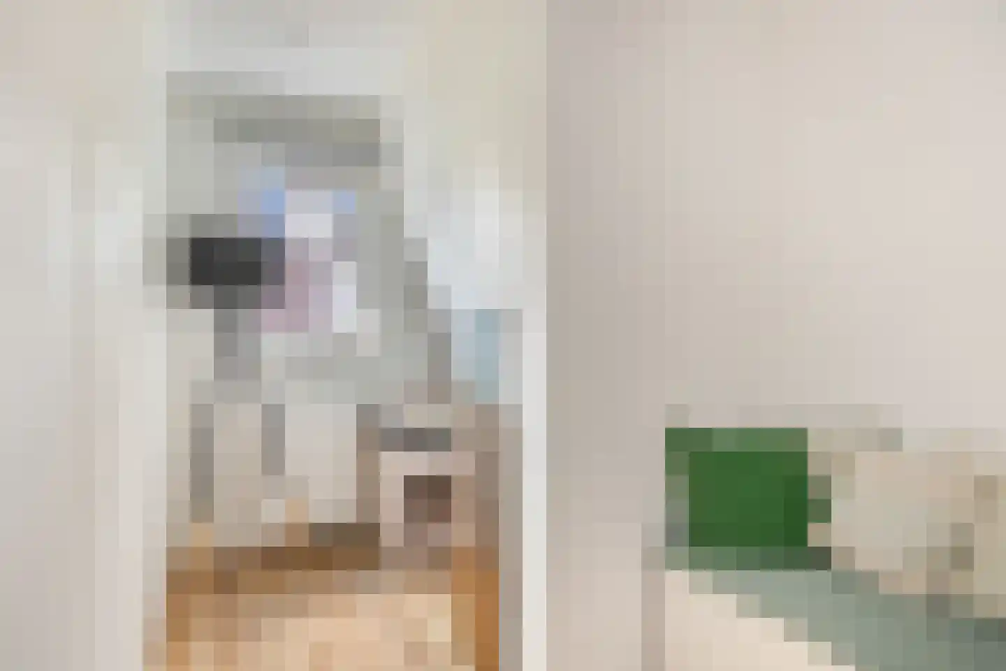 Singelstraat 32 Utrecht thumbnail 30