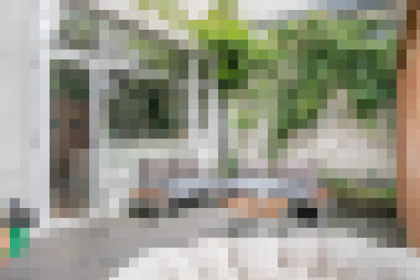 Singelstraat 32 Utrecht thumbnail 34
