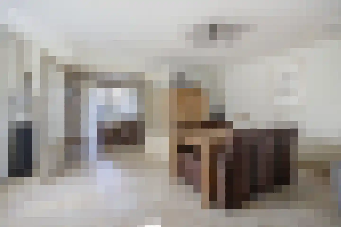 Singelstraat 33 St. Willebrord thumbnail 11