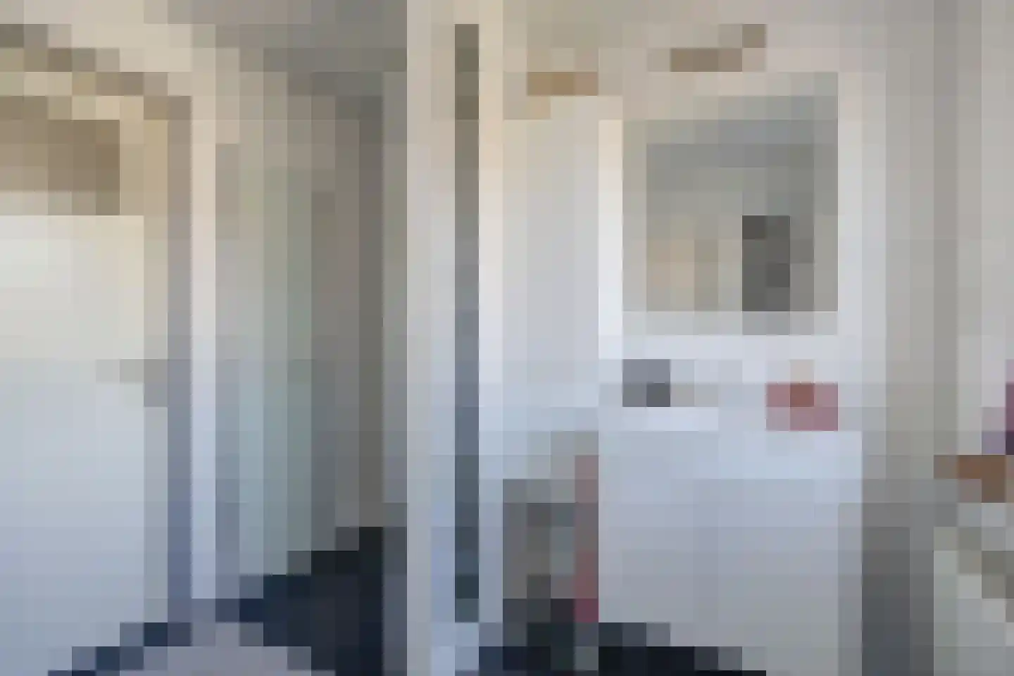 Singelstraat 33 St. Willebrord thumbnail 37
