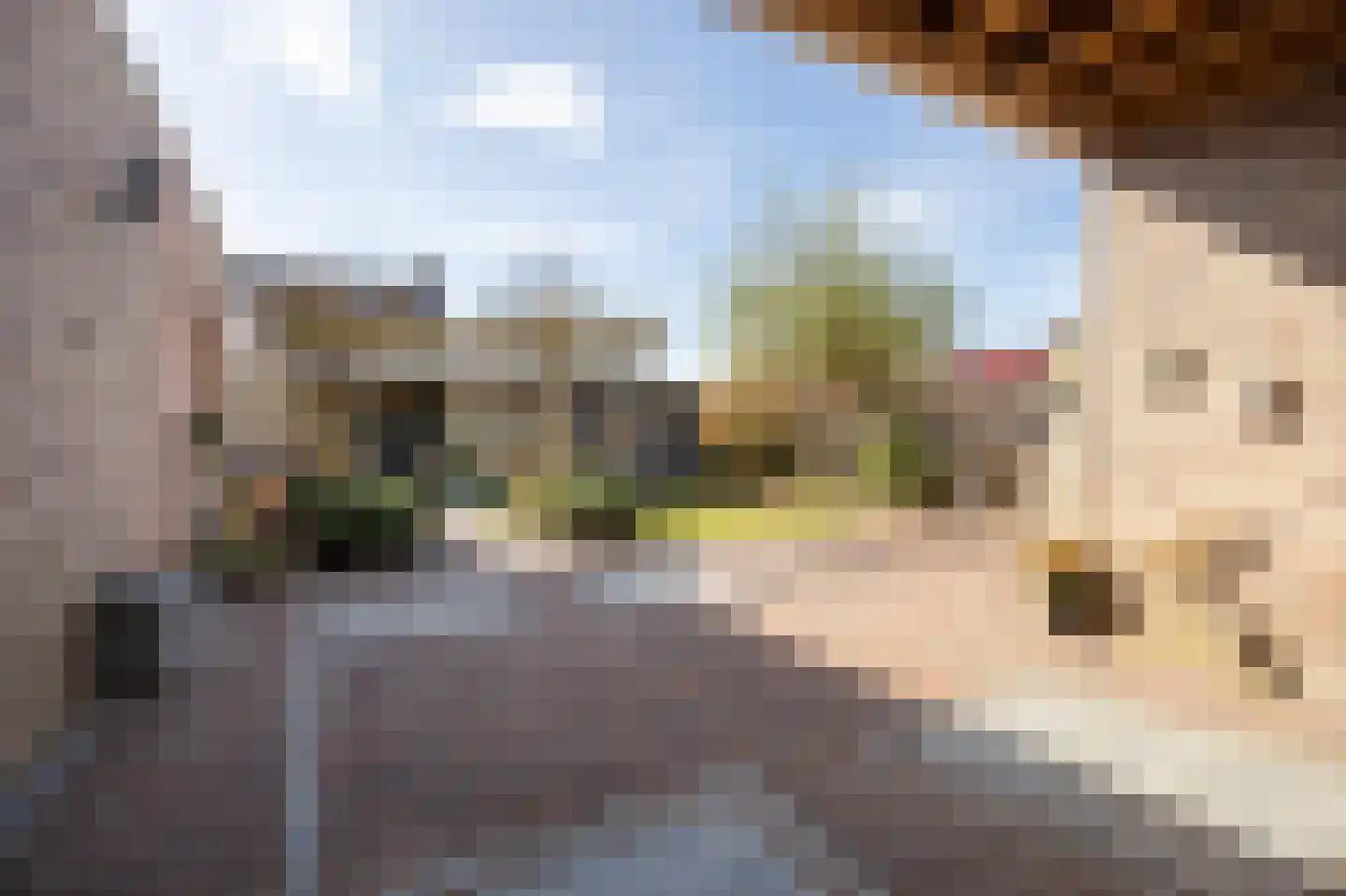 Singelstraat 33 St. Willebrord thumbnail 39