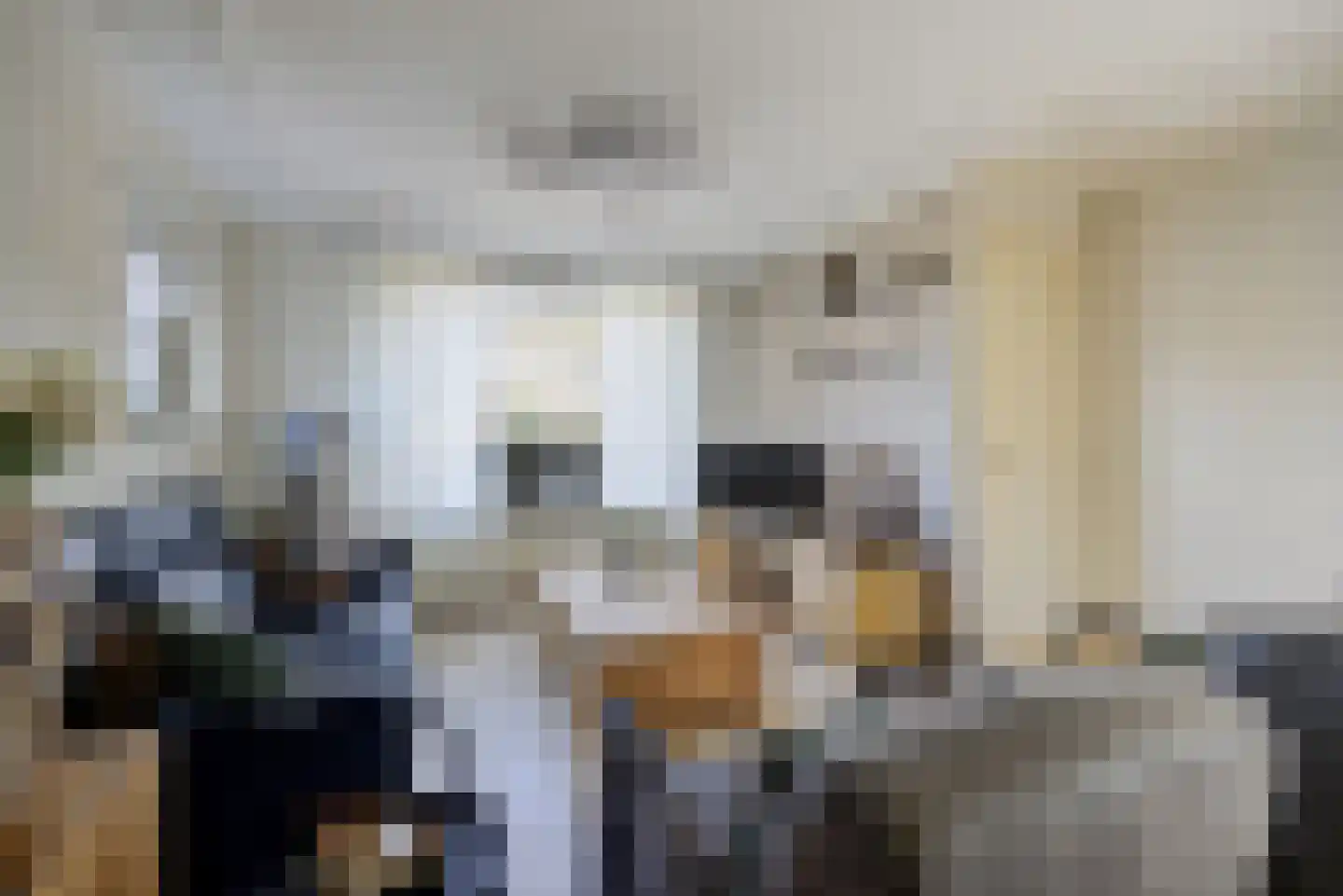 Singelstraat 33 St. Willebrord thumbnail 9