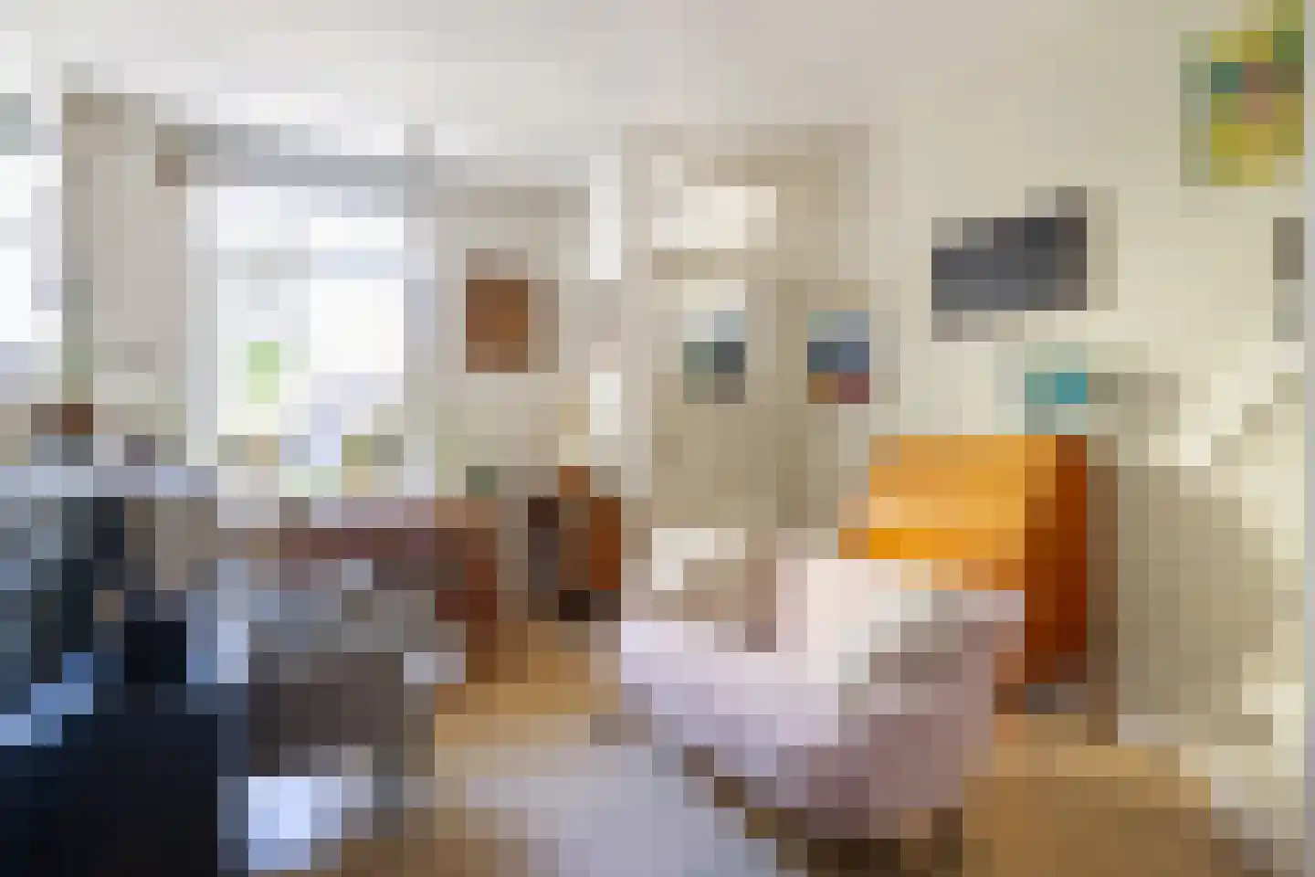 Singelstraat 34 Utrecht thumbnail 10