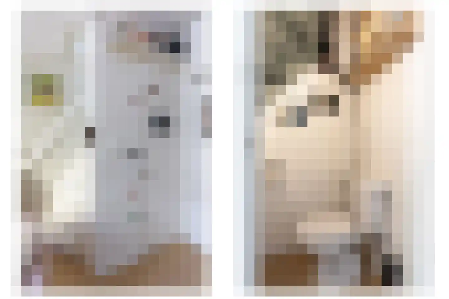Singelstraat 34 Utrecht thumbnail 14